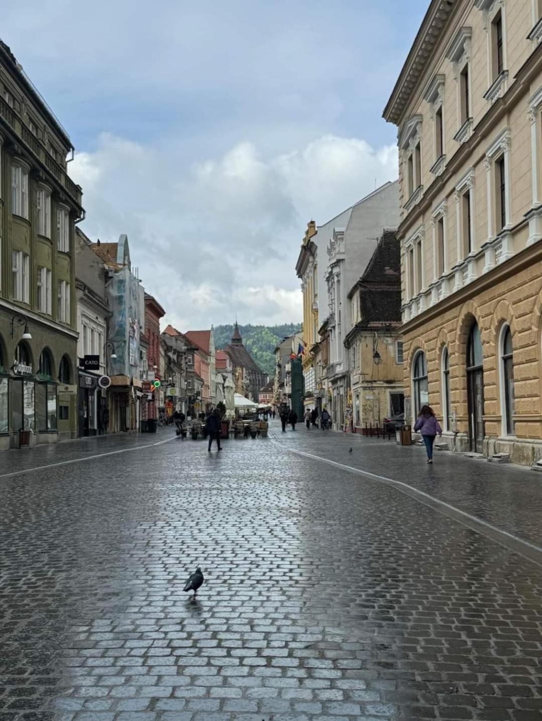 Apartament Regim Hotelier Elis Brasov Bagian luar foto